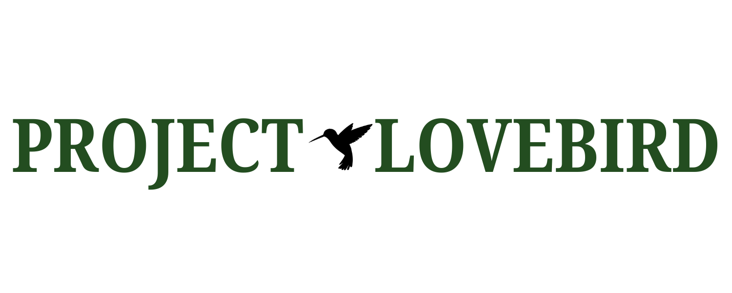 PROJECT LOVEBIRD